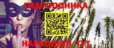 скорость Гусев