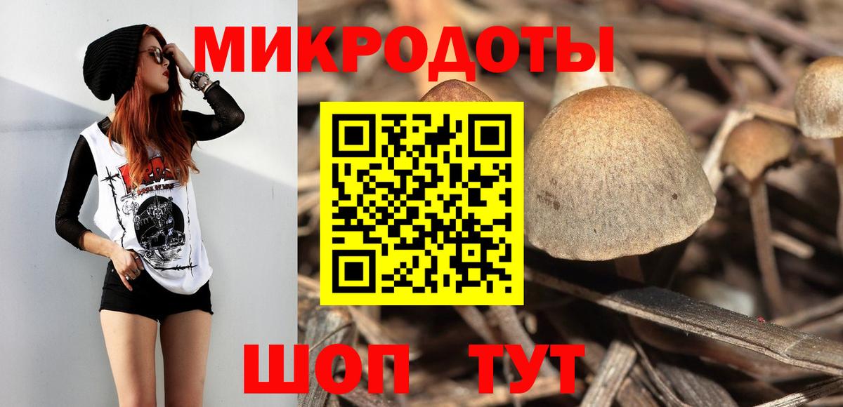 Галлюциногенные грибы Psilocybe  Вход с VPN  Мурино 