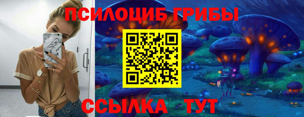 Галлюциногенные грибы мицелий Мурино